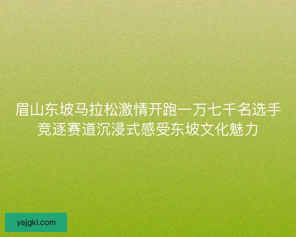 眉山东坡马拉松激情开跑一万七千名选手竞逐赛道沉浸式感受东坡文化魅力